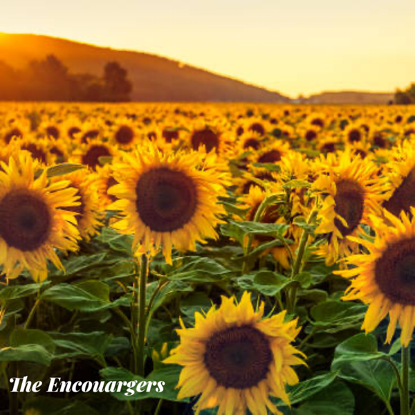 Cottonwood Creek Church - The Encouragers - Bufkin/Sanderson/Howe